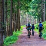 Cykelsemester på Gotland